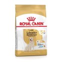 ROYAL CANIN Labrador Retriever Adult 5+ 12kg Royal Canin