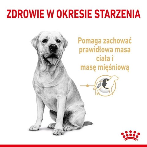 ROYAL CANIN Labrador Retriever Adult 5+ 12kg Royal Canin