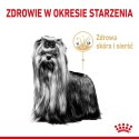 ROYAL CANIN Yorkshire Terrier Adult 8+ 1,5kg Royal Canin