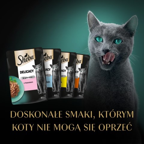 Sheba Fine Flakes In Jelly Saszetka 4x85g Sheba
