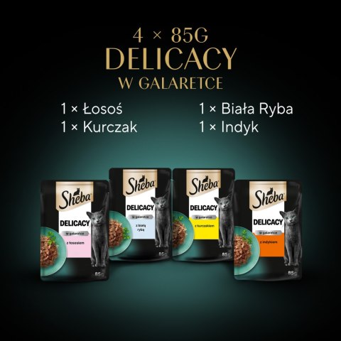 Sheba Fine Flakes In Jelly Saszetka 4x85g Sheba