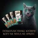 Sheba Saszetka Selection In Sauce Smaki Rybne 4x85g Sheba
