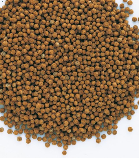 Tetra Goldfish Granules 250ml TETRA
