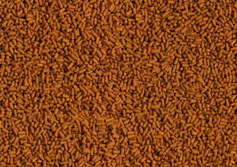 Tetra Pond Koi ColourandGrowth Sticks 1l TETRA