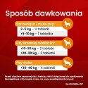 Vet-Agro InPar Tabletki Odrobaczające Dla Psa 2szt Vet-Agro