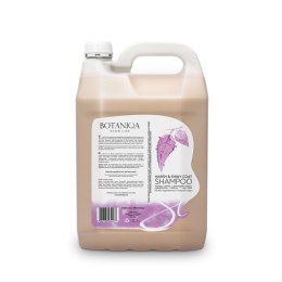 BOTANIQA Harsh & Shiny Coat Shampoo Szampon Dla Psów Szorstkowłosych 4l Botaniqa