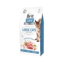 Brit Care Grain-Free Large Cats Power & Vitality Z Kaczką I Kurczakiem 2kg Brit