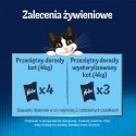 Felix Fantastic Łosoś W Galaretce 85g Felix