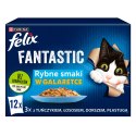 Felix Fantastic Rybne Smaki W Galaretce 12x85g Felix