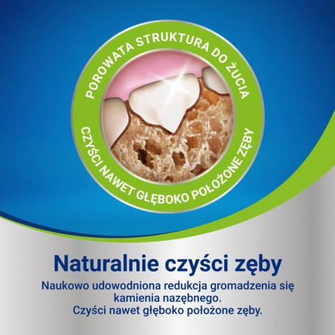 PURINA Dentalife Large 142g Purina