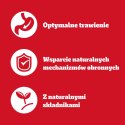 Pedigree Mokra Karma Dla Dorosłych Psów Saszetka Mix Smaków (Z Kurczakiem I Warzywami, Z Wołowiną I Warzywami, Z Indykiem I Marc Pedigree