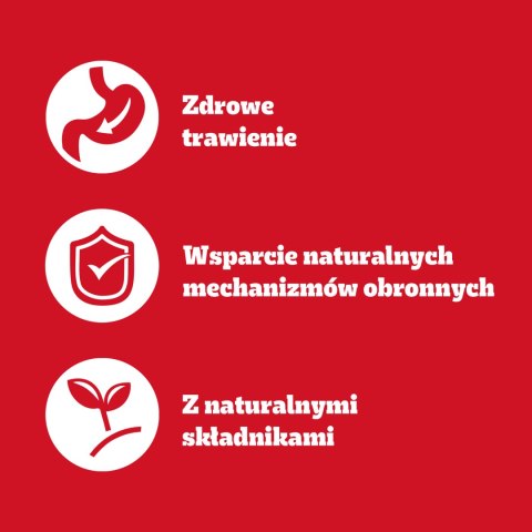 Pedigree Mokra Karma Dla Dorosłych Psów Z Wołowiną W Galaretce 1200g Pedigree
