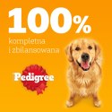 Pedigree Mokra Karma Dla Dorosłych Psów Z Wołowiną W Galaretce 1200g Pedigree
