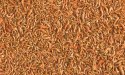 Tetra Pond Shrimp Mix 1l TETRA