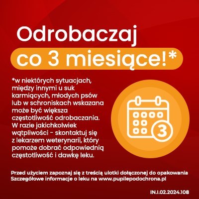 Vet-Agro InPar Tabletki Odrobaczające Dla Psa 6szt Vet-Agro