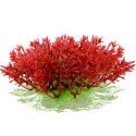 Kruger Meier Plant Mini Flame - roślinka sztuczna Kruger Meier