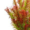 Kruger Meier Plant Riverweed - roślinka sztuczna Kruger Meier