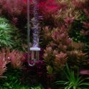 Neo Diffuser Original Extend M white - dyfuzor CO2 17mm do akwarium