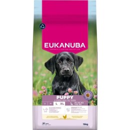 Eukanuba Puppy&Junior Large Breed 15kg Eukanuba