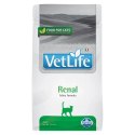 Farmina Vet Life Feline Renal 400g Farmina
