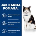 Hill's PD Prescription Diet Feline y/d 156g Hills