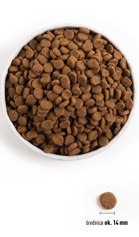 Orijen Original Dog 2kg Orijen