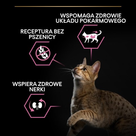PURINA Pro Plan Delicate Turkey&Rice 10kg Purina Pro Plan