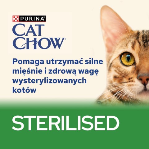 Purina Cat Chow Sterilised Karma Z Jagnięciną I Zieloną Fasolką W Sosie 85g Purina Cat Chow