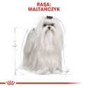 ROYAL CANIN Maltese Adult 500g Royal Canin