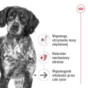 ROYAL CANIN Medium Ageing 10+ 15kg Royal Canin