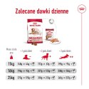 ROYAL CANIN Medium Ageing 10+ 15kg Royal Canin