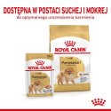 ROYAL CANIN Pomeranian Adult 500g Royal Canin