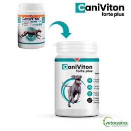 Vetoquinol Caniviton Forte Plus 90szt Vetoquinol