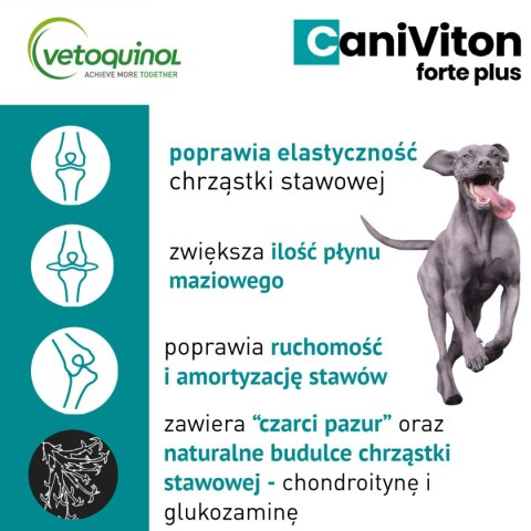 Vetoquinol Caniviton Forte Plus 90szt Vetoquinol