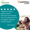 Vetoquinol Caniviton Protect 90szt Vetoquinol