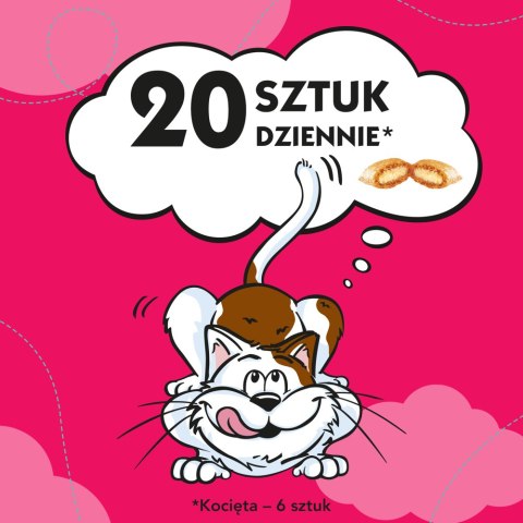 DREAMIES Przysmak Dla Kota Z Wołowiną 60g Dreamies