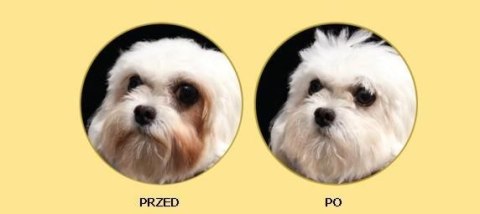 Nature's Protection Superior Care White Dogs Adult Small Breed With Lamb 1,5kg Nature's Protection