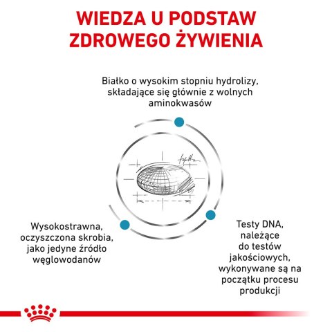 ROYAL CANIN Anallergenic Cat 2kg Royal Canin weterynaria