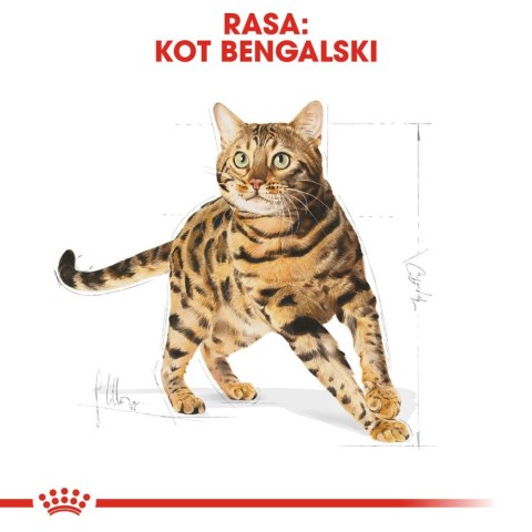 ROYAL CANIN Bengal Adult 10kg Royal Canin