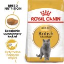 ROYAL CANIN British Shorthair Adult 10kg Royal Canin