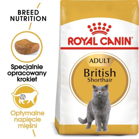 ROYAL CANIN British Shorthair Adult 10kg Royal Canin