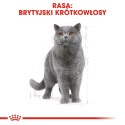 ROYAL CANIN British Shorthair Adult 10kg Royal Canin