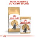 ROYAL CANIN British Shorthair Adult 10kg Royal Canin