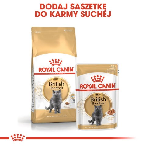ROYAL CANIN British Shorthair Adult 10kg Royal Canin