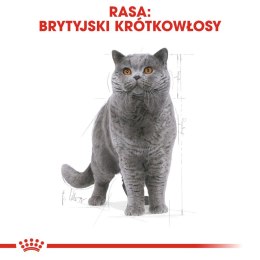 ROYAL CANIN British Shorthair Adult 4kg Royal Canin