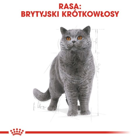 ROYAL CANIN British Shorthair Adult 4kg Royal Canin