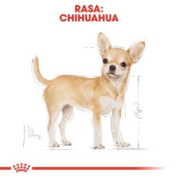 ROYAL CANIN Chihuahua Adult 500g Royal Canin