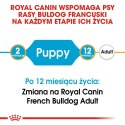 ROYAL CANIN French Bulldog Puppy 10kg Royal Canin