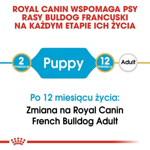 ROYAL CANIN French Bulldog Puppy 10kg Royal Canin