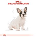 ROYAL CANIN French Bulldog Puppy 3kg Royal Canin